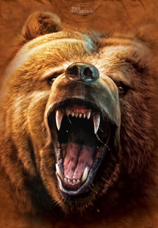 The Mountain T-Shirt - Grizzly Growl
