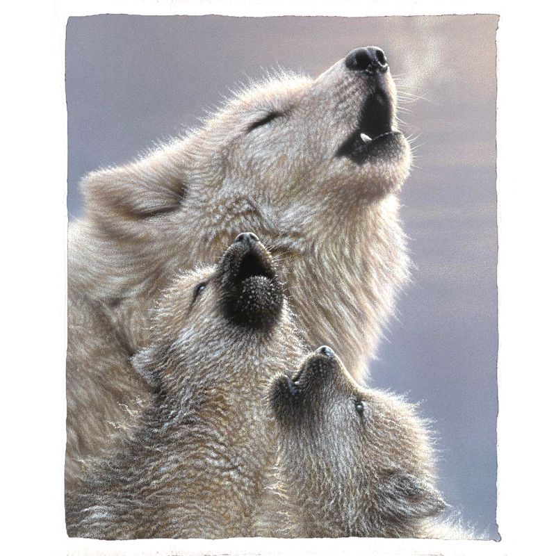 Wolf-Fleece-Decke - Singing Lessons