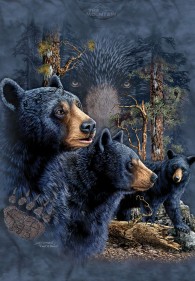 Reduziert - The Mountain T-Shirt - Find 13 Black Bears, Größe M