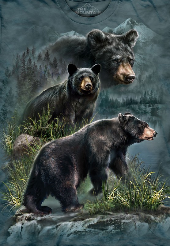 The Mountain T-Shirt - Three Black Bears