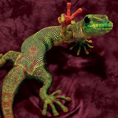 The Mountain T-Shirt - Peace Out Gecko