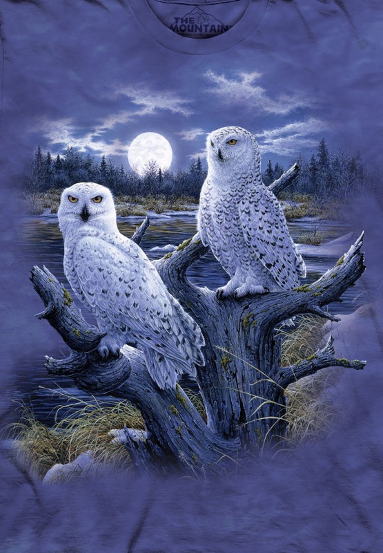 Reduziert - The Mountain T-Shirt - Snowy Owls, Größe S