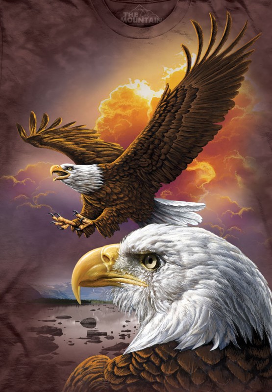 The Mountain T-Shirt - Eagle & Clouds